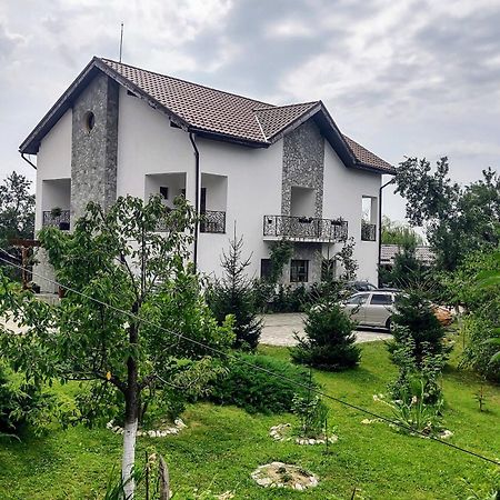 Pensiunea Codruta Cărpinişu 외부 사진
