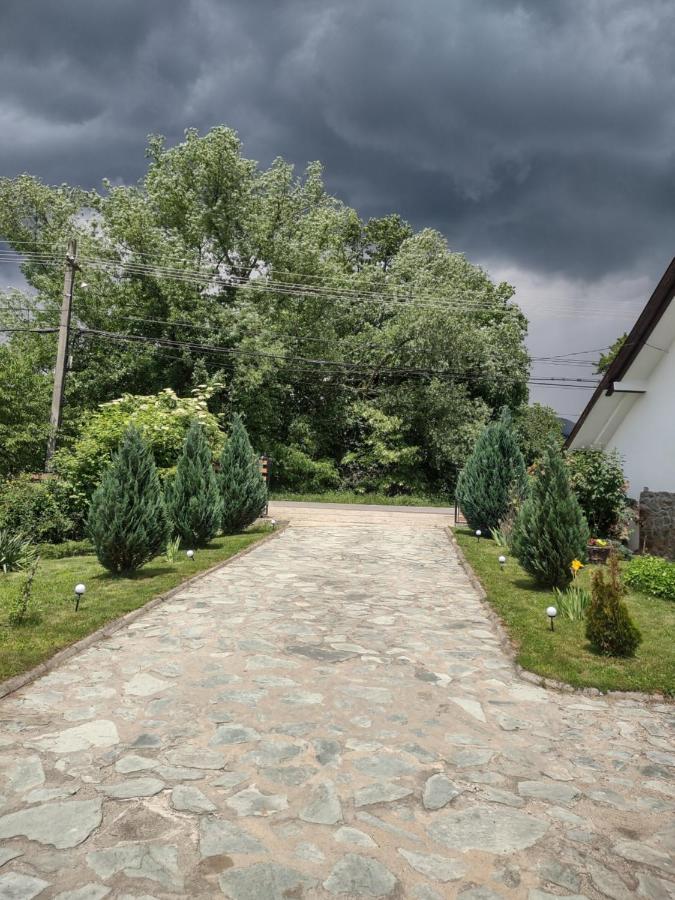 Pensiunea Codruta Cărpinişu 외부 사진