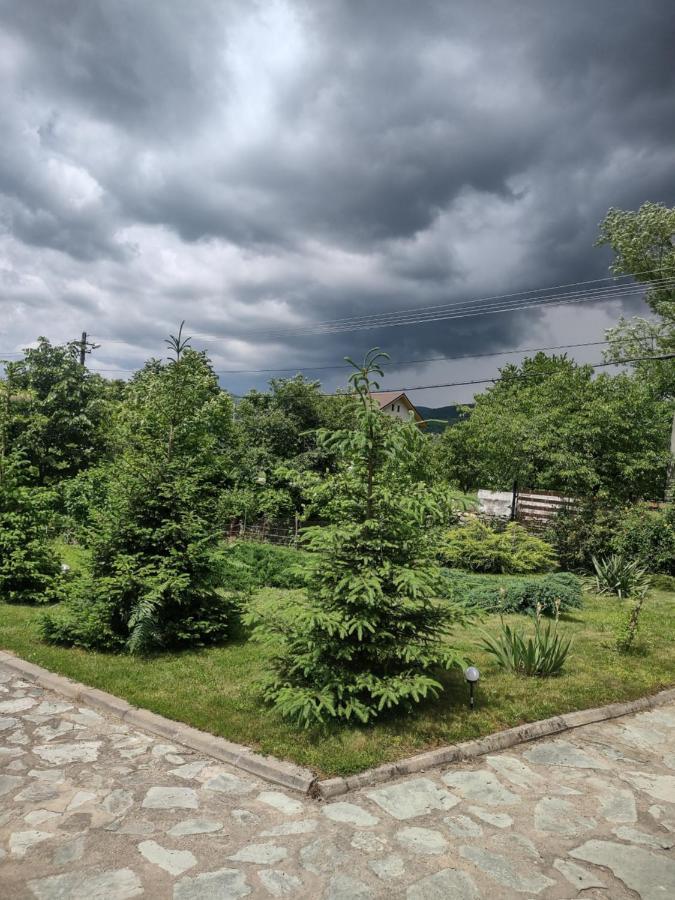 Pensiunea Codruta Cărpinişu 외부 사진