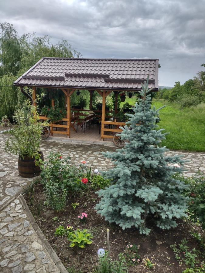 Pensiunea Codruta Cărpinişu 외부 사진