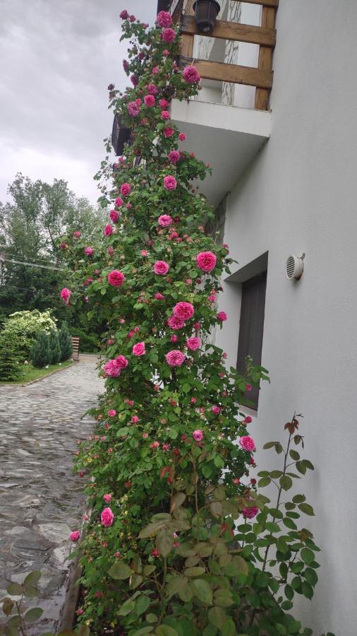 Pensiunea Codruta Cărpinişu 외부 사진