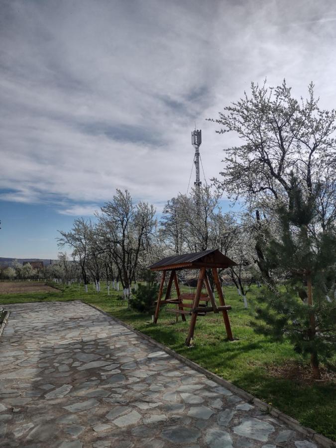 Pensiunea Codruta Cărpinişu 외부 사진