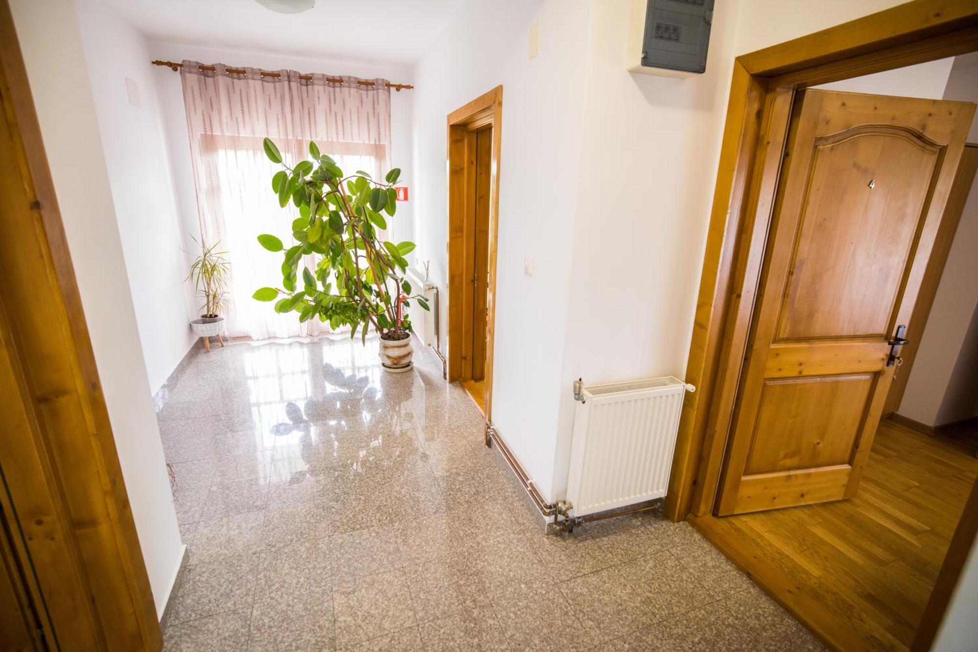 Pensiunea Codruta Cărpinişu 외부 사진
