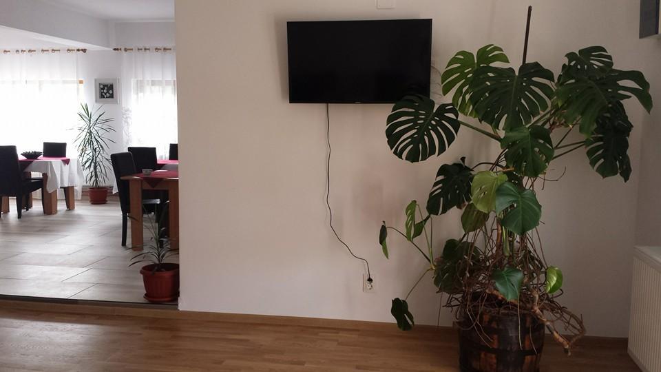Pensiunea Codruta Cărpinişu 외부 사진