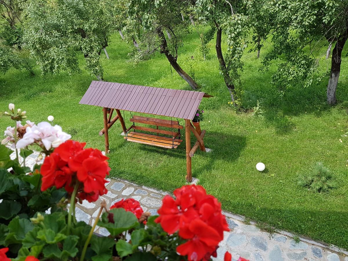 Pensiunea Codruta Cărpinişu 외부 사진
