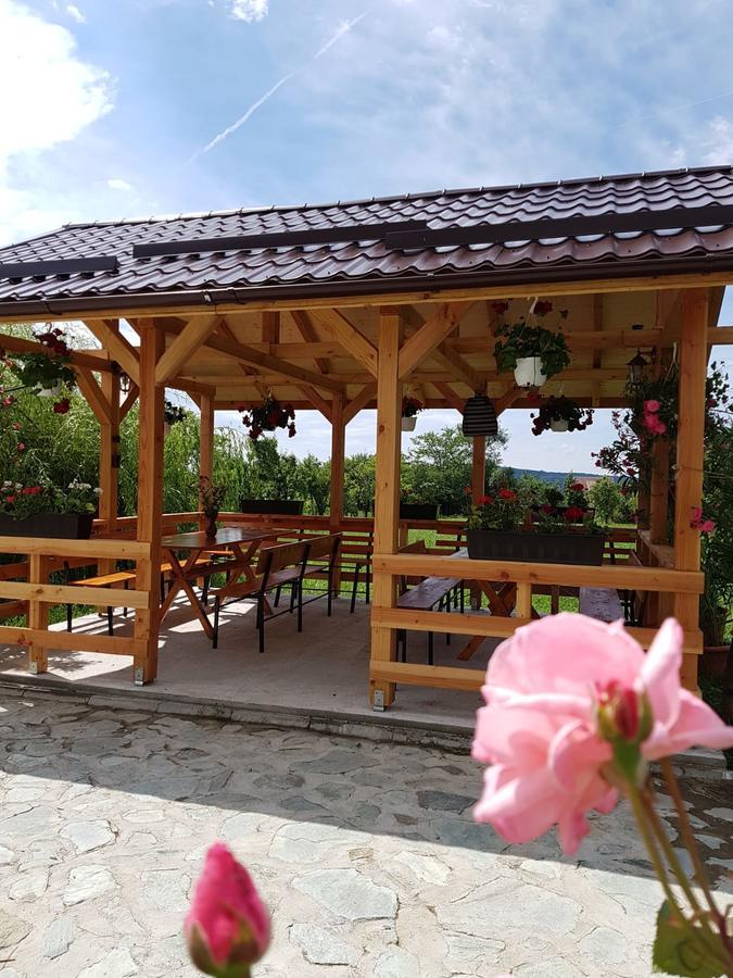Pensiunea Codruta Cărpinişu 외부 사진